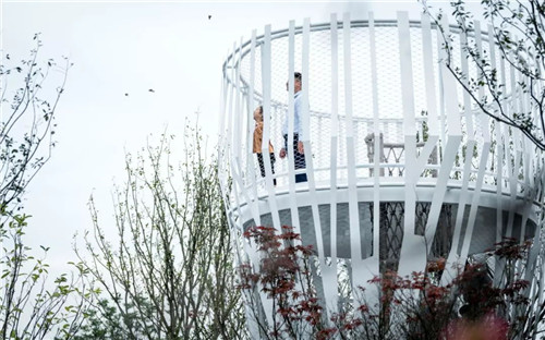 一只魚的自我意識 | 鎮(zhèn)江中南聆江閣