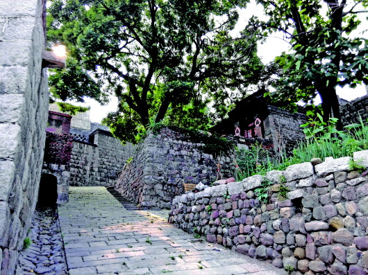 古村守護(hù)者張安蒙：“無(wú)品官做有品事”