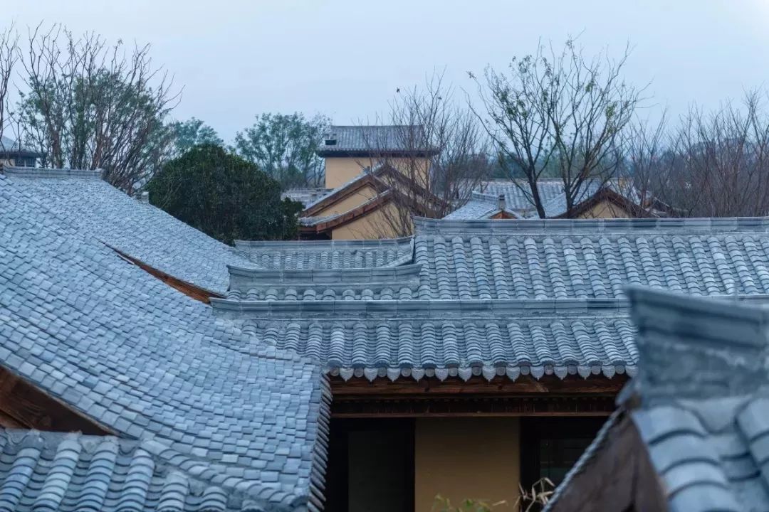 穿越千年盛唐，赴山水詩意之境 | 太白山·唐鎮