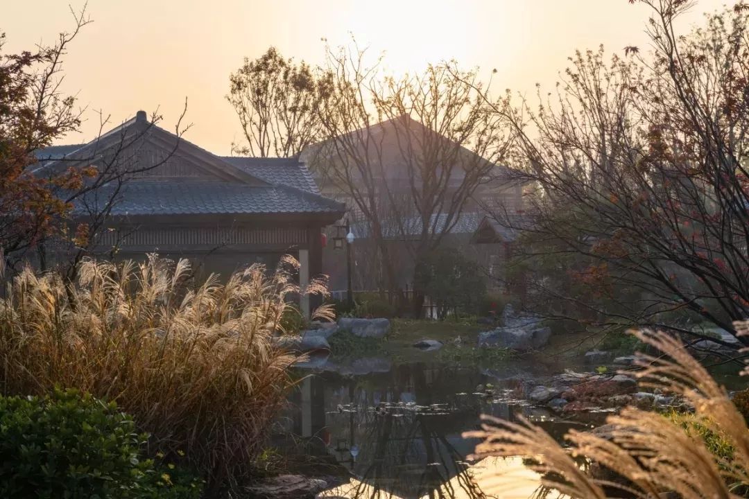 穿越千年盛唐，赴山水詩意之境 | 太白山·唐鎮