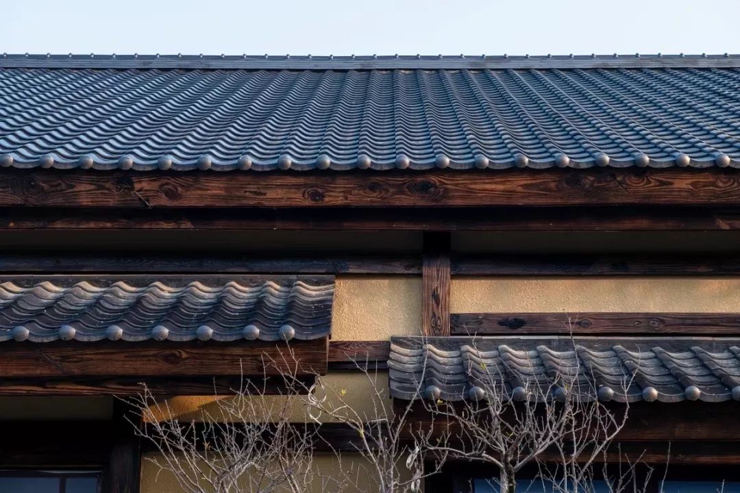 穿越千年盛唐，赴山水詩意之境 | 太白山·唐鎮