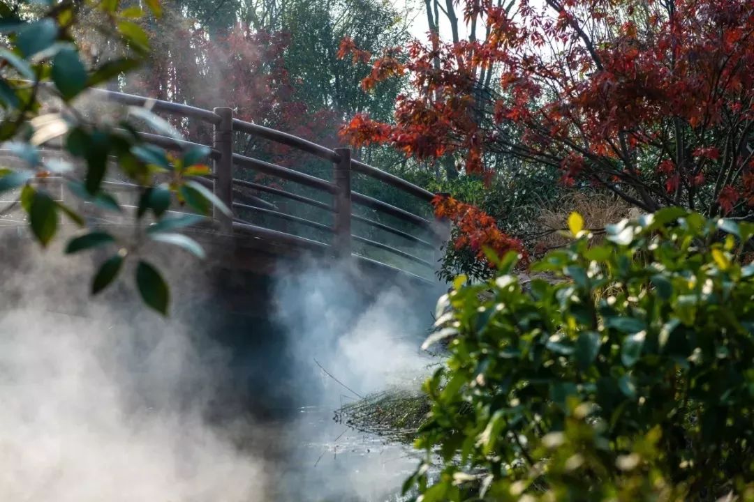 穿越千年盛唐，赴山水詩意之境 | 太白山·唐鎮