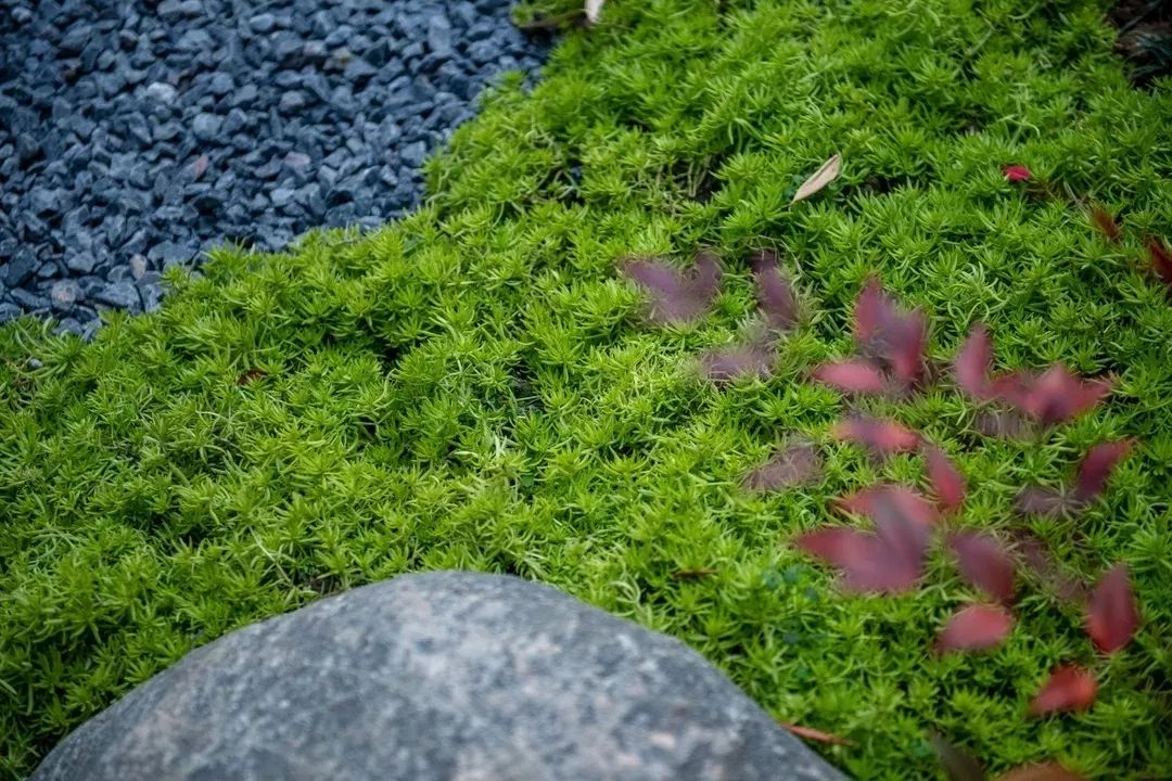穿越千年盛唐，赴山水詩意之境 | 太白山·唐鎮