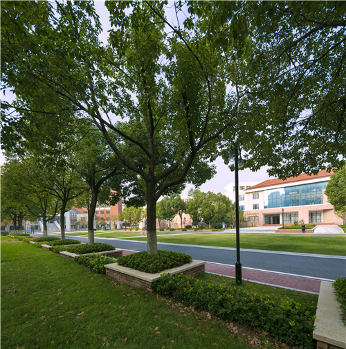 校園景觀作品集錦