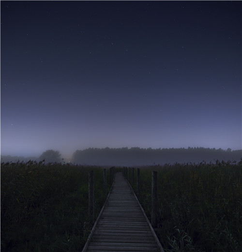 園冶杯專業獎|赫爾辛基自然保護區森林步道