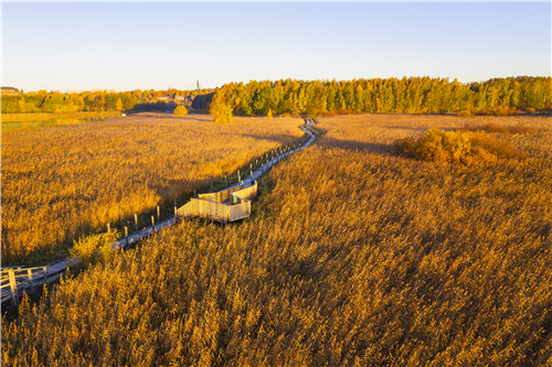 園冶杯專業獎|赫爾辛基自然保護區森林步道