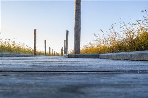 園冶杯專業獎|赫爾辛基自然保護區森林步道