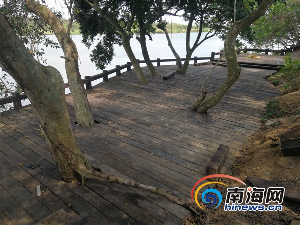 海南大山泰景觀發動村民參與文旅項目建設