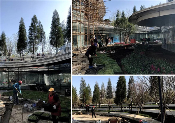 ALSA作品|鉑悅天匯 合肥旭輝