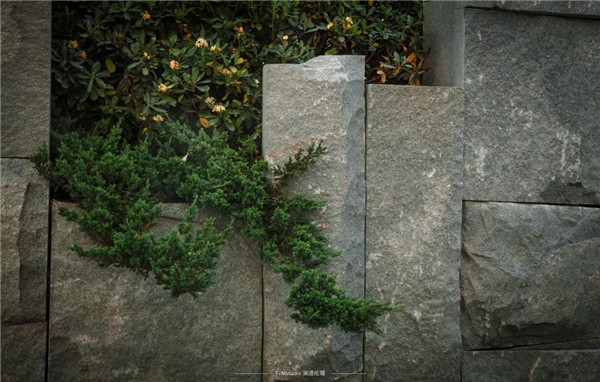 浙江龍湖坤和·天境