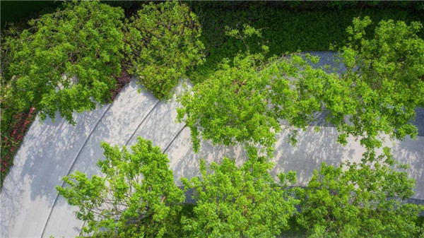 中梁棠城壹號(hào)院