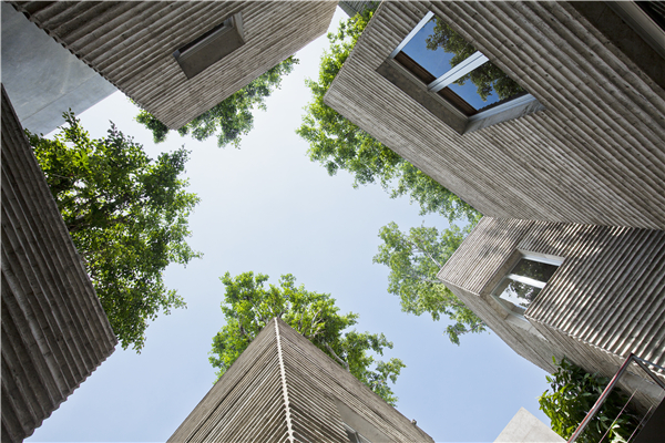 House for Trees:綠色建筑新模式