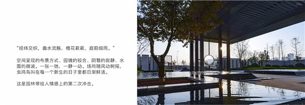 回歸初心,因“和”而來——南海·雁歸來