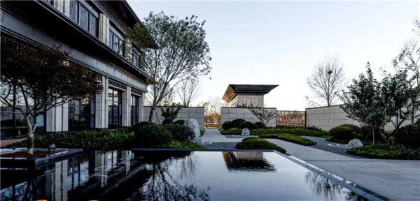 回歸初心,因“和”而來——南海·雁歸來