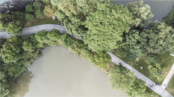 杭州西溪藝術(shù)集合村 | 一曲溪流一曲煙