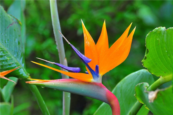 口袋公園雖小，卻能顯出設計的大智慧