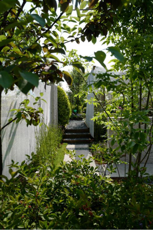 慢客景觀丨2020世界花園大會“江南水里”展園