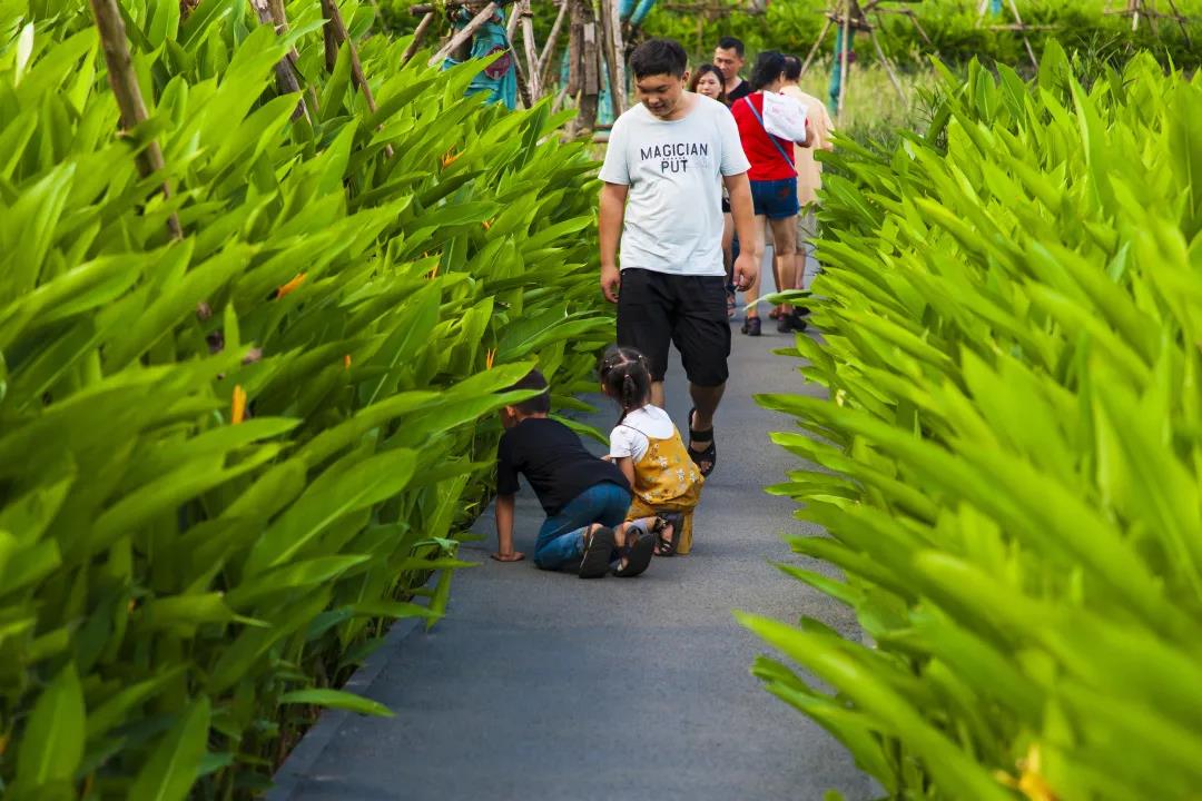 俞孔堅：城市兒童需要怎樣的樂園？