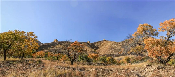 馮瀟:《一次超大尺度風景園林實踐》