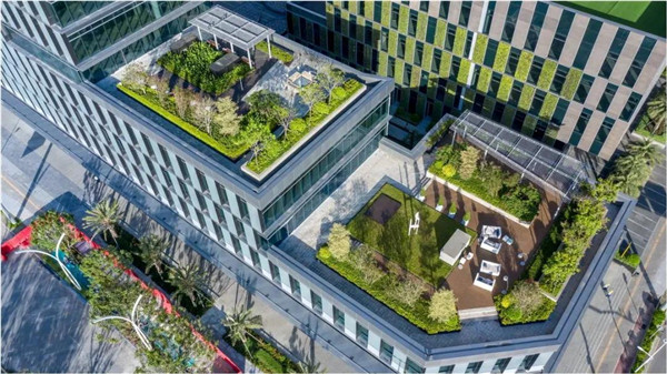 直播課：SED新西林帶你突破景觀邊界