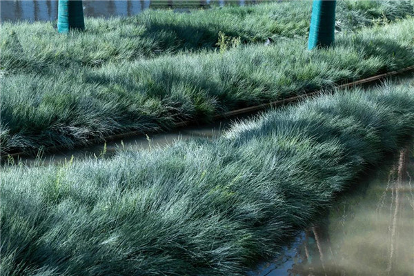 賽肯思景觀丨洪大新力合悅濱江