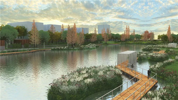 化腐朽為生機 | 一段老城區護城河遺跡的景觀與海綿化改造