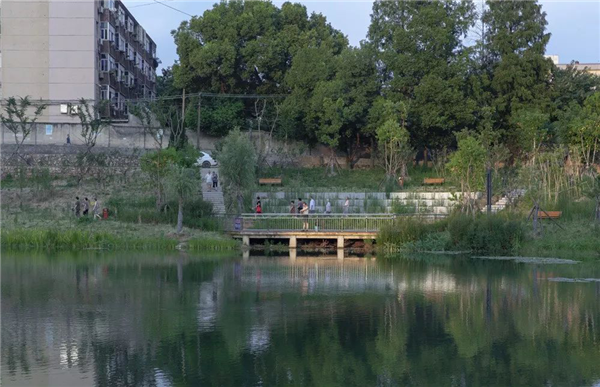 化腐朽為生機 | 一段老城區護城河遺跡的景觀與海綿化改造