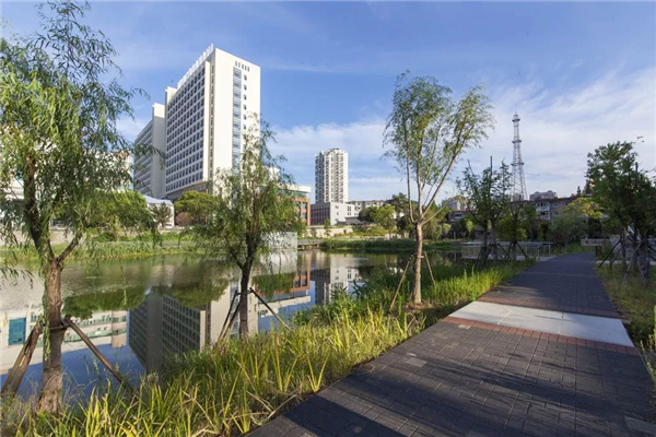 化腐朽為生機 | 一段老城區護城河遺跡的景觀與海綿化改造