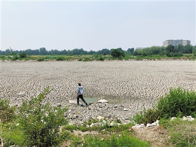 北京城六區最后一片荒野該如何保護？