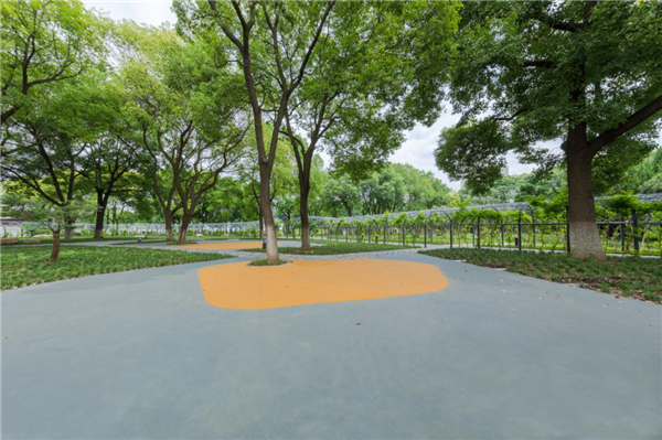 漢水公園:海綿改造讓老舊公園煥發新生命