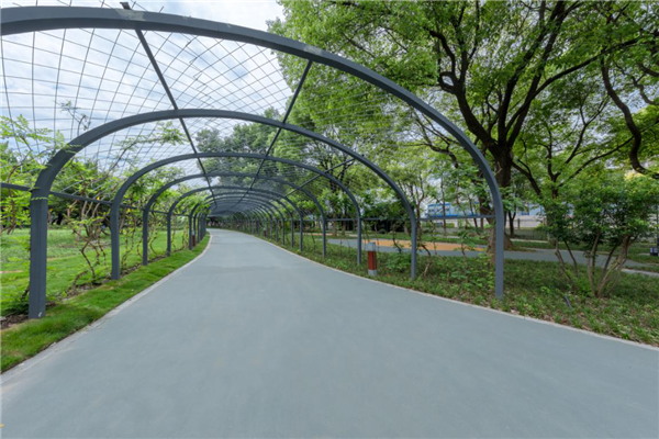 漢水公園:海綿改造讓老舊公園煥發新生命