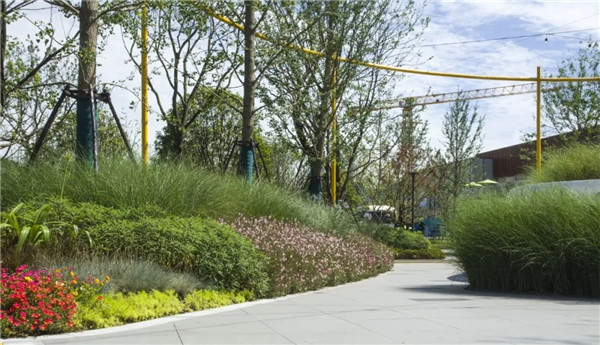 創浦景觀|萬科海上都會