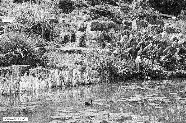 《園林植物造景》