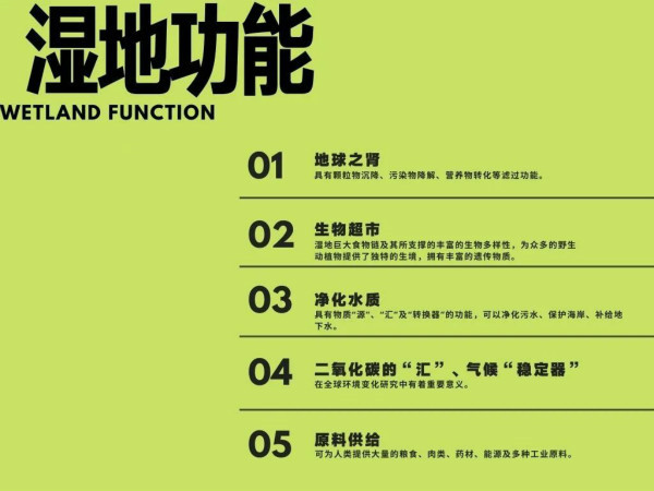 《中國濕地植被與植物圖鑒》出版