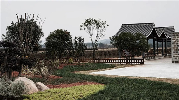 偶木景觀|千年陸坊:心學故里的時代新生