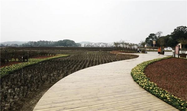 偶木景觀|千年陸坊:心學故里的時代新生