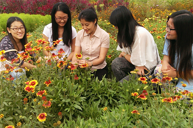 北林教授劉燕：生命繁花似錦