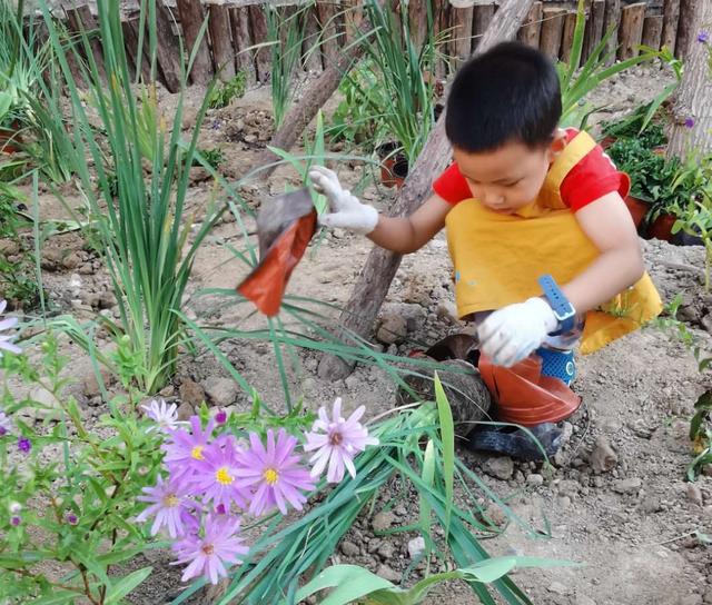 世園會英國大師園“搬”進中關村社區