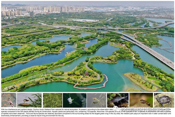 蘇州園林設計院榮獲2020(IFLA)AAPME杰出獎