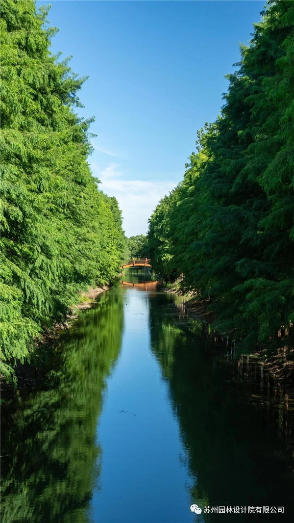 蘇州園林設計院榮獲2020(IFLA)AAPME杰出獎