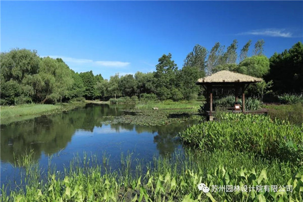 蘇州園林設計院榮獲2020(IFLA)AAPME杰出獎