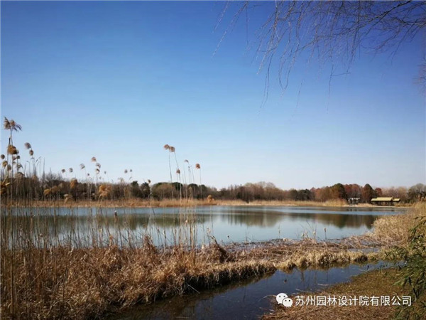 蘇州園林設計院榮獲2020(IFLA)AAPME杰出獎