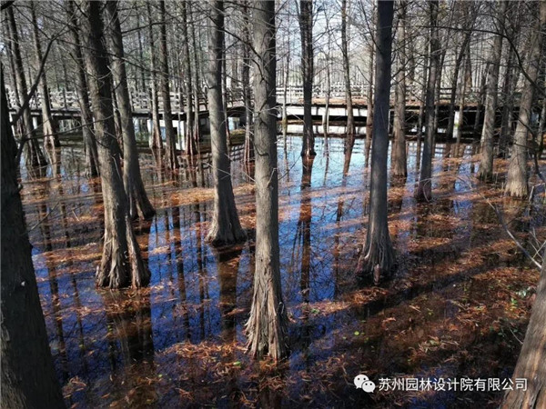 蘇州園林設計院榮獲2020(IFLA)AAPME杰出獎