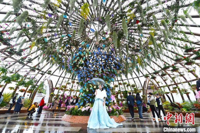 重慶啟幕第三屆城市花博會(huì) 線上線下迎花卉盛宴