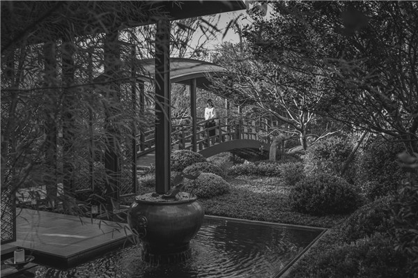 賽瑞景觀丨廈門建發?養云