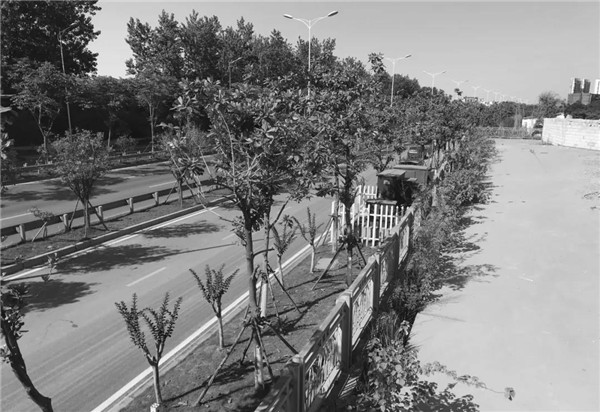 希爾景觀丨南昌力高國資 · 雍江府