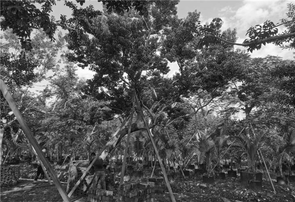 希爾景觀丨南昌力高國資·雍江府