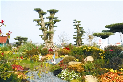 花境行業發展需培養專業人才