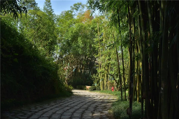 景虎景觀丨官塘小村·宅里