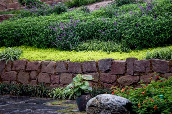 景虎景觀丨官塘小村·宅里